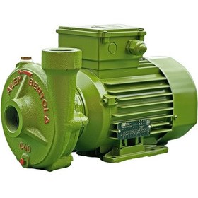 Resim Alem Bertola C40 Bahçe Su Pompası 1,5 Hp 220 Volt Monofaze 