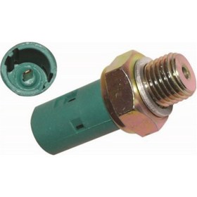 Resim Yag Musuru R19 Kango 504626973- 