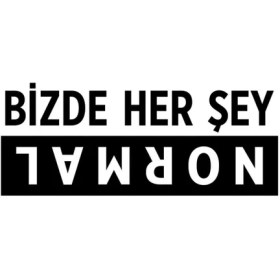 Resim Bizde Her Şey Normal Oto Motor Laptop Duvar Folyo Sticker 25X10 cm 