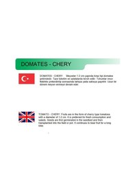 Resim AGRodal Tarım Ata Tohumu Doğal Chery Kokteyl Domates 100 Adet Tohum 