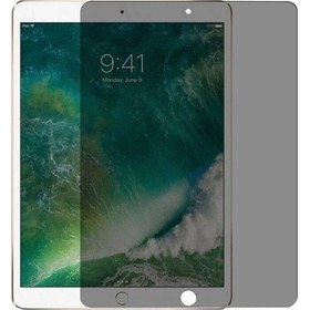 Resim Pilanix Apple Ipad Air Için Yanlardan Görünmeyen Privacy Cam Ekran Koruyucu 