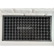 Resim Fide Viyolü 128 Göz 3 Adet Fide Viyol Fide Viyolleri Fide Kabı (502554985) 