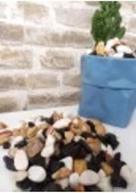 Resim Asenya Renkli Çakıl Taşı 2 Kg 1-2 Cm Saksı Dibi Teraryum Saksı Süs Vazo Dibi Dekoratif Dolomit Taş 