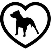 Resim Kıvırcıkyoga Pitbul Aşktır Sticker Duvar Dekor Sticker 40 x 36 cm 