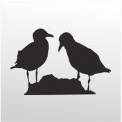 Resim Folyo Sticker Kuşlar 50cm Uzunluk Siyah 