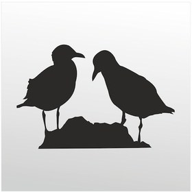 Resim Folyo Sticker Kuşlar 50cm Uzunluk Siyah 