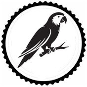 Resim Kuş Tasarım 3.model Sticker 10 X 10 Cm 