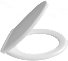 Resim Çelk Ayna Amortisörlü Yavaş Kapanır Oval Klozet Kapağı Metal Montaj Vidalı-716 