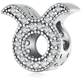 Resim Boğa Burcu Charm 