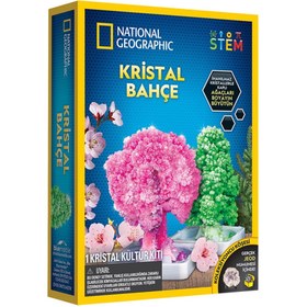 Resim Nessiworld Natgeo Kristal Bitki Kiti 
