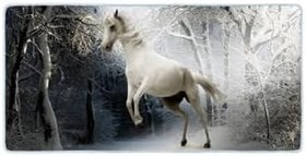 Resim Colorix Carpet Kaymaz Taban Tezgah Önü Mutfak Paspası 75x150 Cm No: 074 