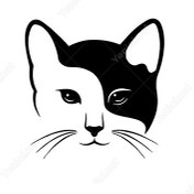 Resim Bıyıklı Kedi Sticker 30 X 30 Cm 