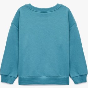 Resim Erkek Bebek Pamuklu Uzun Kollu Bisiklet Yaka Köpek Baskılı Şardonlu Sweatshirt 