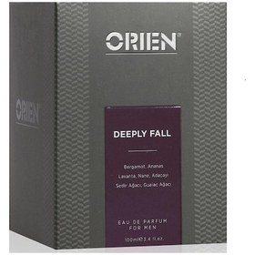 Resim Orien Deeply Fall Erkek Parfüm EDP 100 ML 