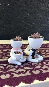 Resim Sevimli Çift Saksı Ay Taşı Sukulent Seti - Pembe 