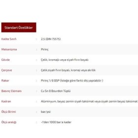 Resim Ø63 mm Pano Tip Kuru Manometre, 0-60 Bar Ölçüm Aralığı ile Güvenilir Kullanım 