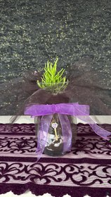 Resim NuNu By Secret Garden Anahtarlı Cam Sukulent - Yeşil 
