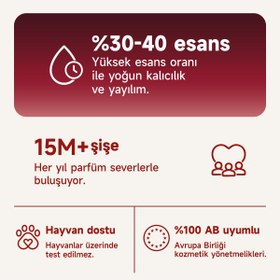 Resim Mad Parfüm Mad Devil's Trick 100 ml Kadın Parfüm | Çiçeksi - Odunsu - Büyüleyici 