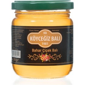 Resim Köyceğiz Balı Bahar Çiçek Balı Cam Kavanoz 250 G 