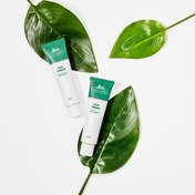 Resim VT Cosmetics - Cica Cream (Stres Karşıtı ve Bariyer Koruyucu Nemlendirici Cica Özlü Krem) 50ml 