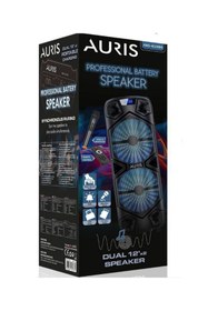 Resim Bluetooth Özellikli Hoparlör 24" Karaoke Mikrofon Özellikli Profesyonel Speaker (Kln-90) 