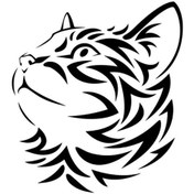 Resim Byr002 Hırçın Kedi Oto Motor Laptop Duvar Folyo Sticker 40x44 Cm Efsngrck 