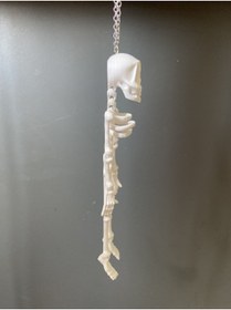 Resim robotofis İskelet Ayna Süsü - (Beyaz) 