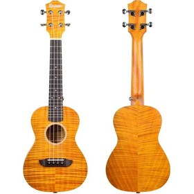 Resim Kaysen U3-24gd Concert Ukulele 