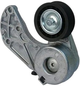 Resim Volkswagen Touareg 3.2 V6 3.6 V6 2002 Sonrası Alternatör Gergi Rulmanı 