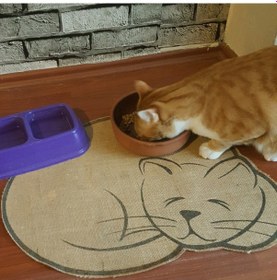 Resim Pawaway Kedi Paspası Tuvalet Mama Kum Önü Taban 45 x 60 CM 