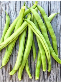 Resim +20 Adet Eymen Fasulye Tohumu 