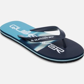 Resim Quiksilver Molokai Stripe Erkek Terlik 