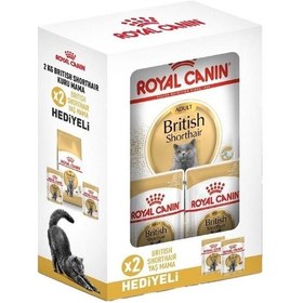 Resim Royal Canin British Shorthair Hediye Kutulu Yetişkin Kedi Maması 2 KG 