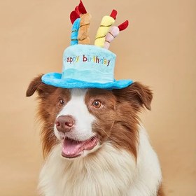 Resim 2 adet Sevimli "Mutlu Doğum Günü" Evcil Hayvan Parti Şapka Seti Küçük/Orta Köpekler ve Kediler için - Renkli Mum Süslemeli Köpek ve Kedi Şapkaları Ayarlanabilir Askılar, Dayanıklı Polyester, Doğum Günü Kutlamaları ve Fotoğraf Aksesuarları için Mükemmel, Evcil Hayvan Doğum Günü Parti Malzemeleri, Canlı Tasarım, Rahat Uygunluk, En İyi Köpek Şapkası, Köpek Aksesuarları, Köpek Doğum Günü T-Shirt, Açık Hava Yürüyüşü ve Fotoğraf Çekimi Ön Kapuş Şapkası 