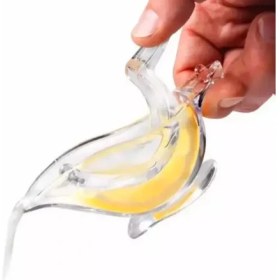 Resim Kut Fly Kuş Şeklinde Sunumluk Limon Sıkacağı 