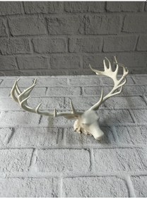 Resim Dekoratif Geyik Başı Heykel 25 Cm Modern Minimal Tasarım 