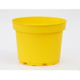 Resim Sarı Limon Saksısı 5 Adet ( 3 Litre ) 