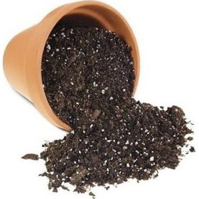 Resim Çim Saksı Balkon Çiçek Toprağı 12,50 Kğ 10 KG 