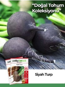 Resim 500 Adet Siyah Turp Tohumu 