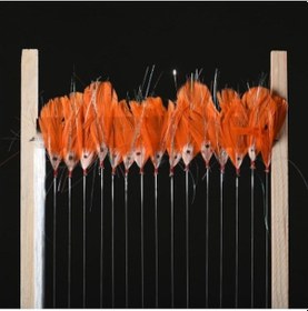 Resim Palamut Çaparisi - Turuncu Tüy 