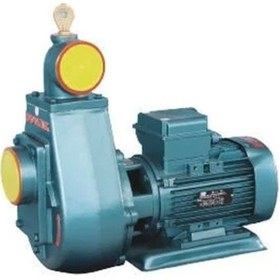 Resim Domak Üks3 3hp Monoblok Monofaze Elektropomp 