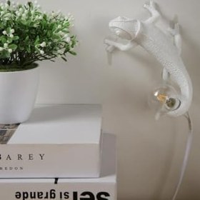 Resim SUME Dekoratif Duvar Lambası Bukalemun Aplik Duvar Aydınlatma Modern Aydınlatma Ev Duvar Dekoru 