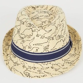 Resim Defacto Erkek Çocuk Hasır Şapka N4230A624SMBG176 