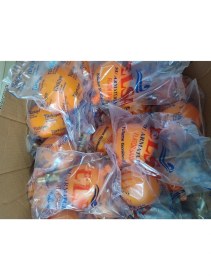 Resim Depo ve Su Tankları Için 1'' Plastik Flatör Şamandıra, Dayanıklı ve Güvenilir Kullanım 