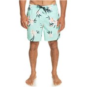 Resim Quiksilver Mıx 17 M Jamv Eqyjv04002-gcz6 Erkek Yeşil Şort 