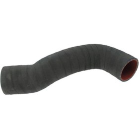 Resim Rapro R31142 Turbo Hortumu Silikon S60 09 Wr714887 