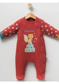 Resim Tongs Baby Erkek Bebek Sincap Baskılı Tulum-14943 Kiremit 