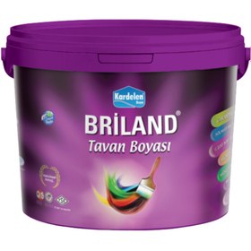 Resim Kardelen Boya Briland Tavan Boyası Beyaz 3,5 kg 