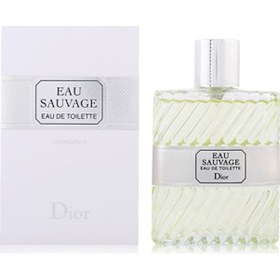 Resim Dior Eau Sauvage Erkek Parfüm EDT 100 ML 