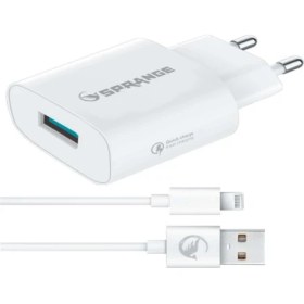 Resim Sprange L-20 iPhone Uyumlu Lightning 10.5 Wolt Hızlı Şarj Cihazı Kablo Başlık Takım X-Xs-11-12-13 